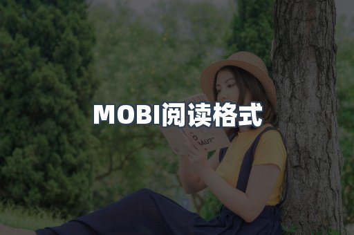 外文电子书系列